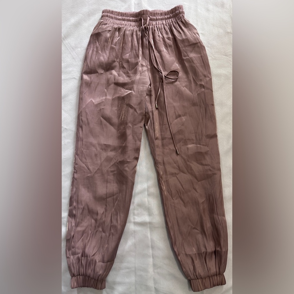 TCEC Shimmer Jogger in Blush with a champagne shimmer Lined EUC